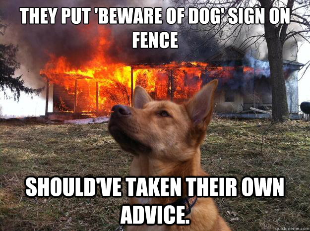 they put 'beware of dog' sign on fence should've taken their own advice. - they put 'beware of dog' sign on fence should've taken their own advice.  Bad Dog