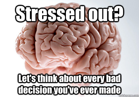 Stressed out? Let's think about every bad decision you've ever made - Stressed out? Let's think about every bad decision you've ever made  Scumbag Brain