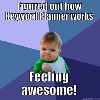 FIGURED OUT HOW KEYWORD PLANNER WORKS FEELING AWESOME! Success Kid