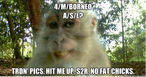 4/m/Borneo
A/s/l? 
Trdn' pics. Hit me up. S2R. No fat chicks. - 4/m/Borneo
A/s/l? 
Trdn' pics. Hit me up. S2R. No fat chicks.  Suave Internet Monkey