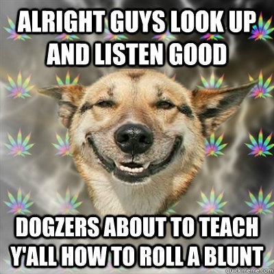 alright guys look up and listen good Dogzers about to teach y'all how to roll a blunt  Stoner Dog