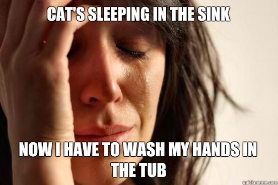 Cat's sleeping in the sink Now I have to wash my hands in the tub  First World Problems