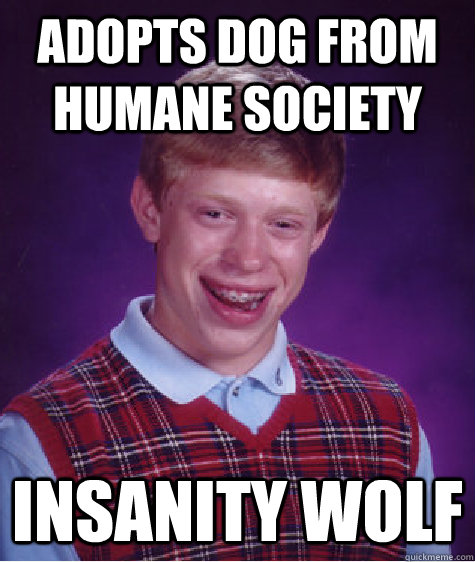 Adopts dog from Humane Society INSANITY WOLF  Bad Luck Brian