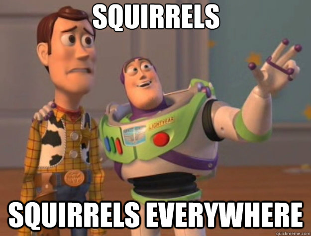 Squirrels  Squirrels everywhere  Toy Story