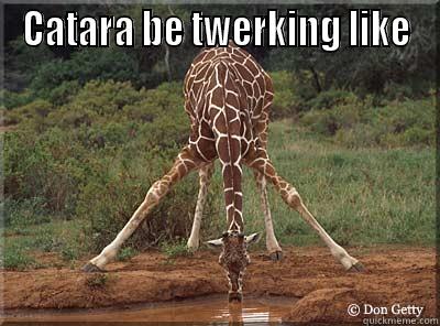 CATARA BE TWERKING LIKE  Misc