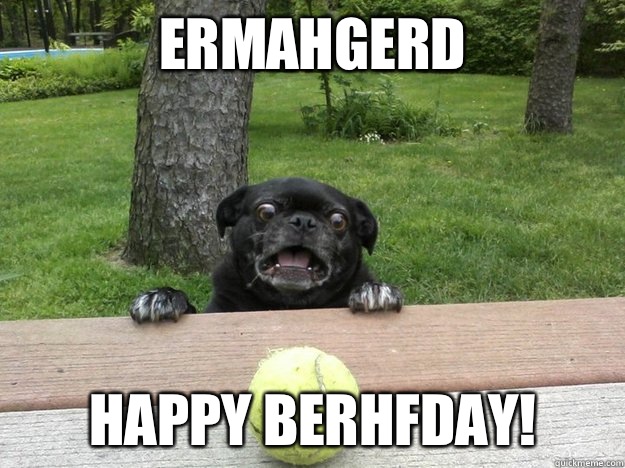Ermahgerd Happy Berhfday!  Berks Dog