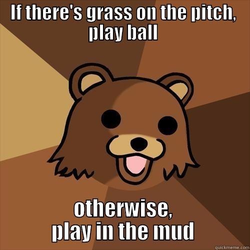 IF THERE'S GRASS ON THE PITCH, PLAY BALL OTHERWISE, PLAY IN THE MUD Pedobear