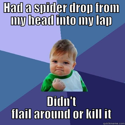 Spiderbro lives - HAD A SPIDER DROP FROM MY HEAD INTO MY LAP DIDN'T FLAIL AROUND OR KILL IT Success Kid