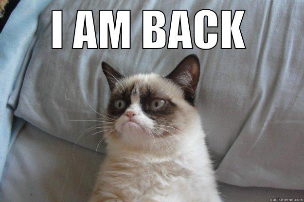 I AM BACK  Grumpy Cat