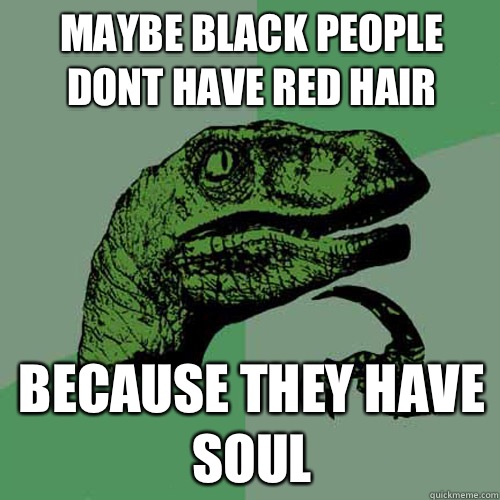 Maybe black people dont have red hair Because they have soul - Maybe black people dont have red hair Because they have soul  Philosoraptor