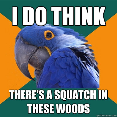 i do think there's a squatch in these woods  Paranoid Parrot