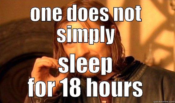 ONE DOES NOT SIMPLY SLEEP FOR 18 HOURS One Does Not Simply