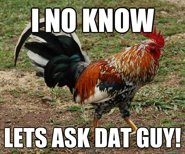 I no know lets ask dat guy! - I no know lets ask dat guy!  Red Team Rooster