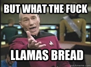 But what the fuck LLAMAS BREAD  Annoyed Picard