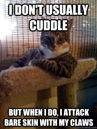 I don't usually cuddle but when I do, i attack bare skin with my claws  The Most Interesting Cat in the World