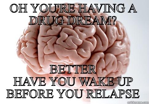 OH YOU'RE HAVING A DRUG DREAM? BETTER HAVE YOU WAKE UP BEFORE YOU RELAPSE Scumbag Brain