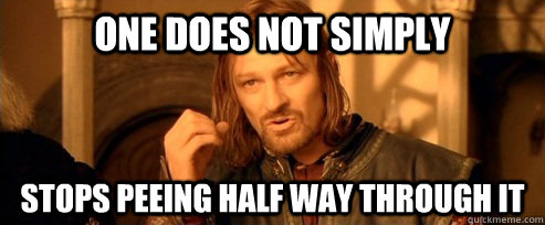 One does not simply Stops peeing half way through it  One Does Not Simply