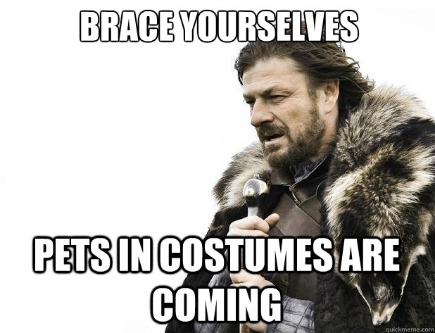 brace yourselves pets in costumes are coming - brace yourselves pets in costumes are coming  Misc