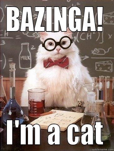 BAZINGA! I'M A CAT Chemistry Cat