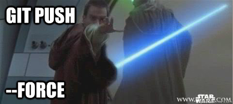 git push --force - git push --force  force push