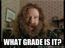  What grade is it?  What year is it