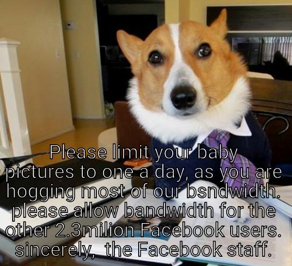  PLEASE LIMIT YOUR BABY PICTURES TO ONE A DAY, AS YOU ARE HOGGING MOST OF OUR BSNDWIDTH. PLEASE ALLOW BANDWIDTH FOR THE OTHER 2.3MILION FACEBOOK USERS. SINCERELY,  THE FACEBOOK STAFF. Lawyer Dog
