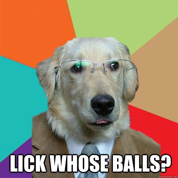  lick whose balls? -  lick whose balls?  Business Dog