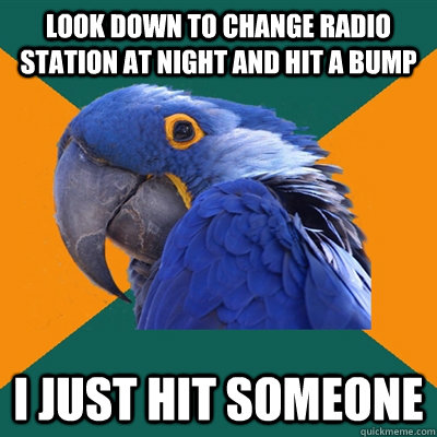 look down to change radio station at night and hit a bump i just hit someone  Paranoid Parrot
