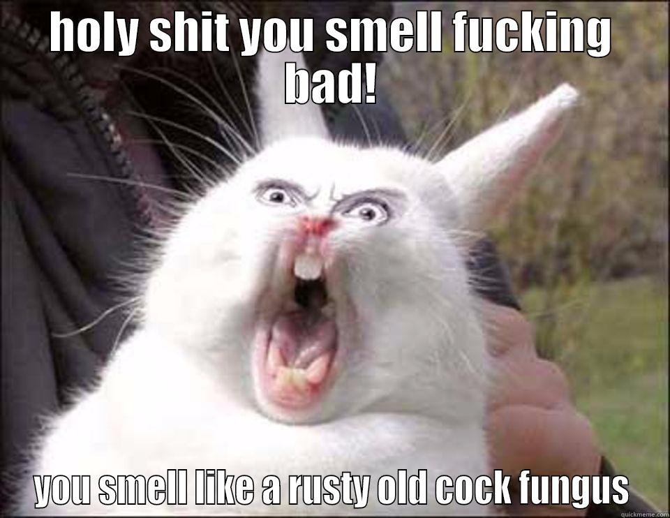 HOLY SHIT YOU SMELL FUCKING BAD! YOU SMELL LIKE A RUSTY OLD COCK FUNGUS Misc