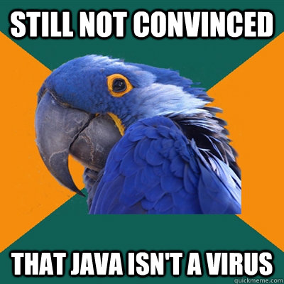 Still not convinced that java isn't a virus  Paranoid Parrot