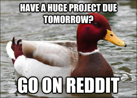 Have a huge project due tomorrow? Go on reddit  Malicious Advice Mallard