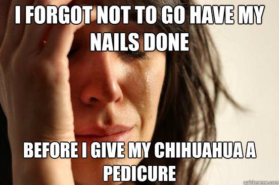 I forgot not to go have my nails done before i give my chihuahua a pedicure  First World Problems