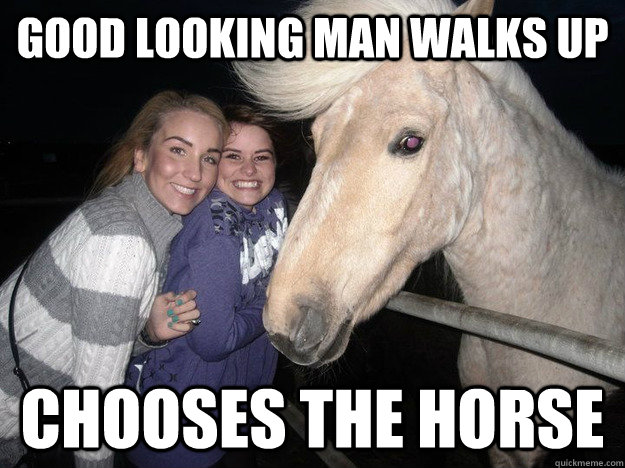 Good looking man walks up Chooses the Horse  Ridiculously Photogenic Horse