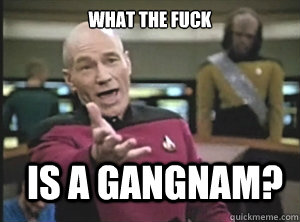 What the fuck is a gangnam?  Annoyed Picard