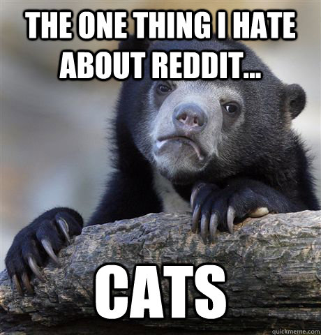 the one thing i hate about reddit... CATS  Confession Bear