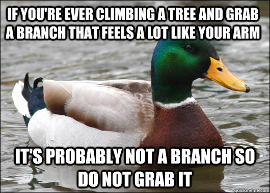 If you're ever climbing a tree and grab a branch that feels a lot like your arm It's probably not a branch so do not grab it - If you're ever climbing a tree and grab a branch that feels a lot like your arm It's probably not a branch so do not grab it  Actual Advice Mallard