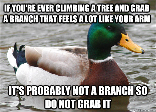 If you're ever climbing a tree and grab a branch that feels a lot like your arm It's probably not a branch so do not grab it  Actual Advice Mallard