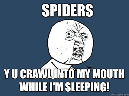 Spiders y u crawl into my mouth while I'm sleeping!  Y U No