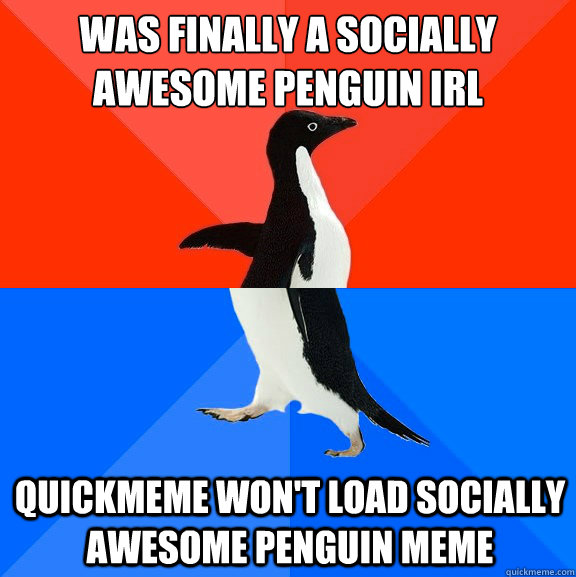 WAS FINALLY A SOCIALLY AWESOME PENGUIN IRL QUICKMEME WON'T LOAD SOCIALLY AWESOME PENGUIN MEME  Socially Awesome Awkward Penguin