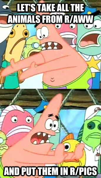 Let's take all the animals from r/aww and put them in r/pics  Push it somewhere else Patrick