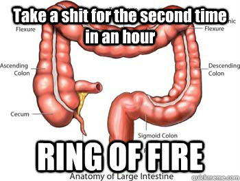 Take a shit for the second time in an hour RING OF FIRE - Take a shit for the second time in an hour RING OF FIRE  Scumbag Colon