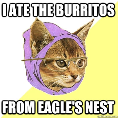 I ate the Burritos from Eagle's Nest  Hipster Kitty