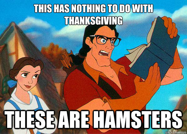 THIS HAS NOTHING TO DO WITH THANKSGIVING THESE ARE HAMSTERS  Hipster Gaston