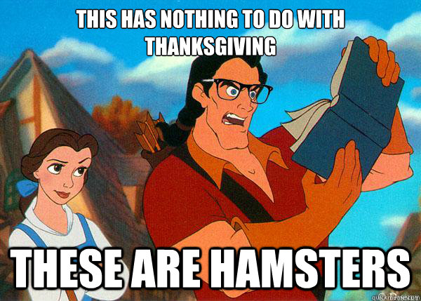 THIS HAS NOTHING TO DO WITH THANKSGIVING THESE ARE HAMSTERS  Hipster Gaston