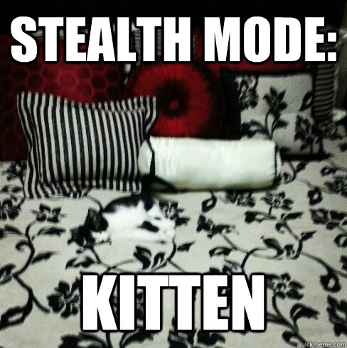 Stealth Mode: Kitten - Stealth Mode: Kitten  Ninja Kitty