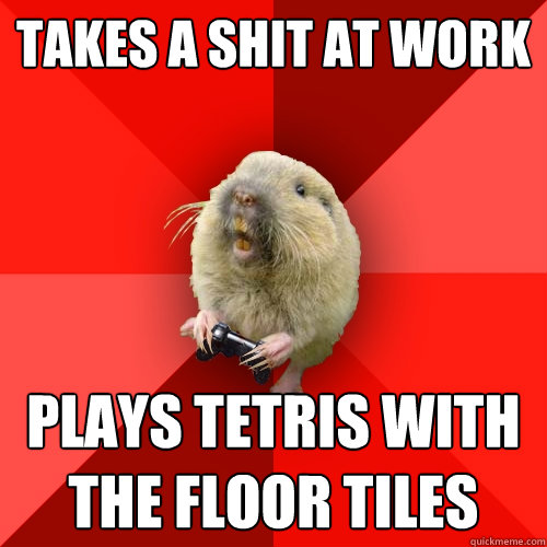 takes a shit at work plays tetris with the floor tiles  Gaming Gopher