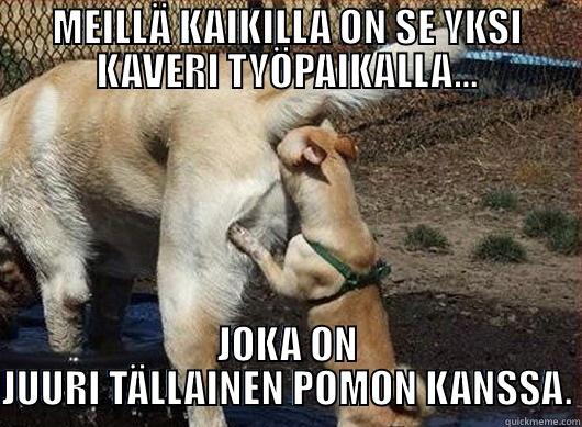 MEILLÄ KAIKILLA ON SE YKSI KAVERI TYÖPAIKALLA... JOKA ON JUURI TÄLLAINEN POMON KANSSA. Misc