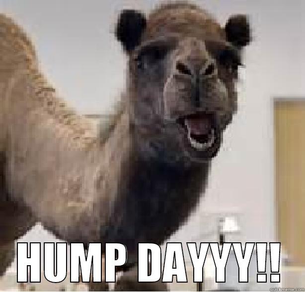  HUMP DAYYY!! Misc