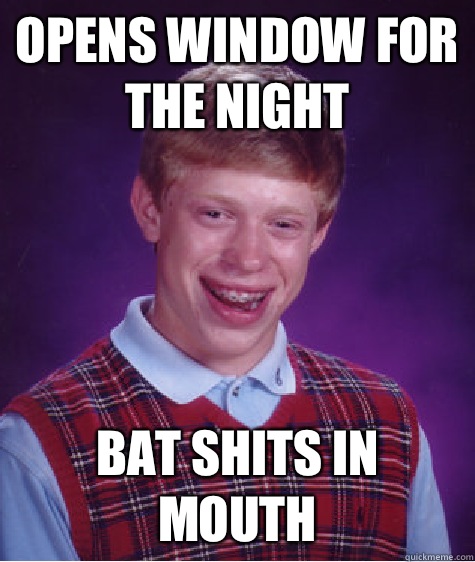 Opens window for the night  Bat shits in mouth  Bad Luck Brian