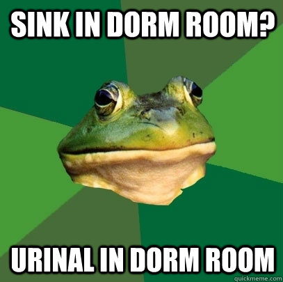 Sink in dorm room? Urinal in dorm room  Foul Bachelor Frog